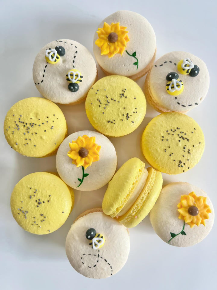 Whipzi® Signature Lemon Flavor Powdered Sugar Bundle